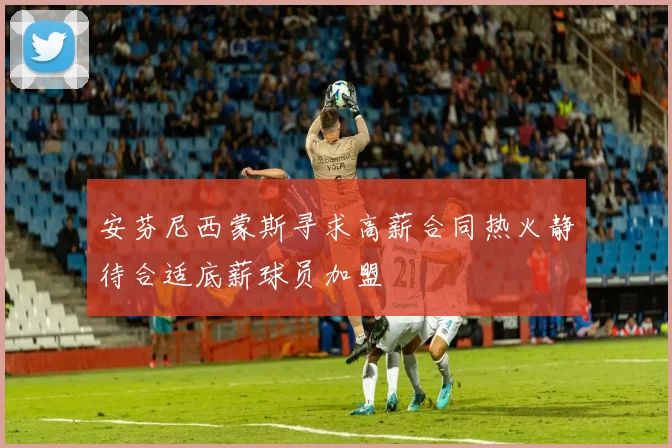 安芬尼西蒙斯寻求高薪合同热火静待合适底薪球员加盟